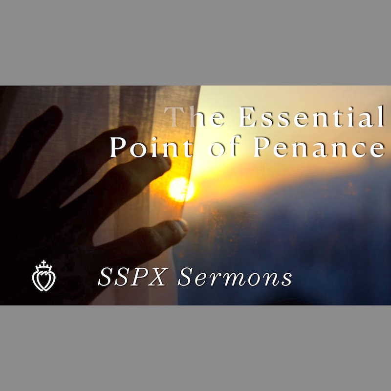 Artwork for podcast SSPX Sermons