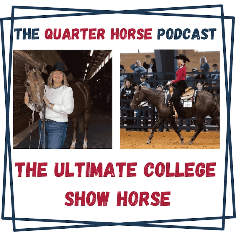 Artwork for podcast Horses in the Morning