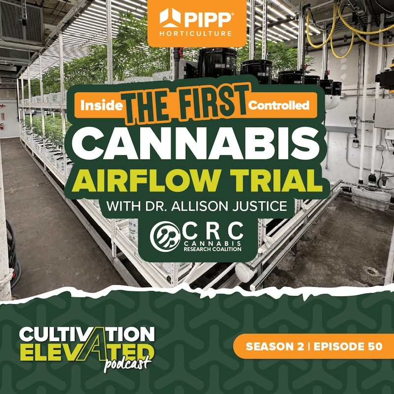 Artwork for podcast Cultivation Elevated - Indoor Farming, Cannabis Growers & Cultivators - Pipp Horticulture