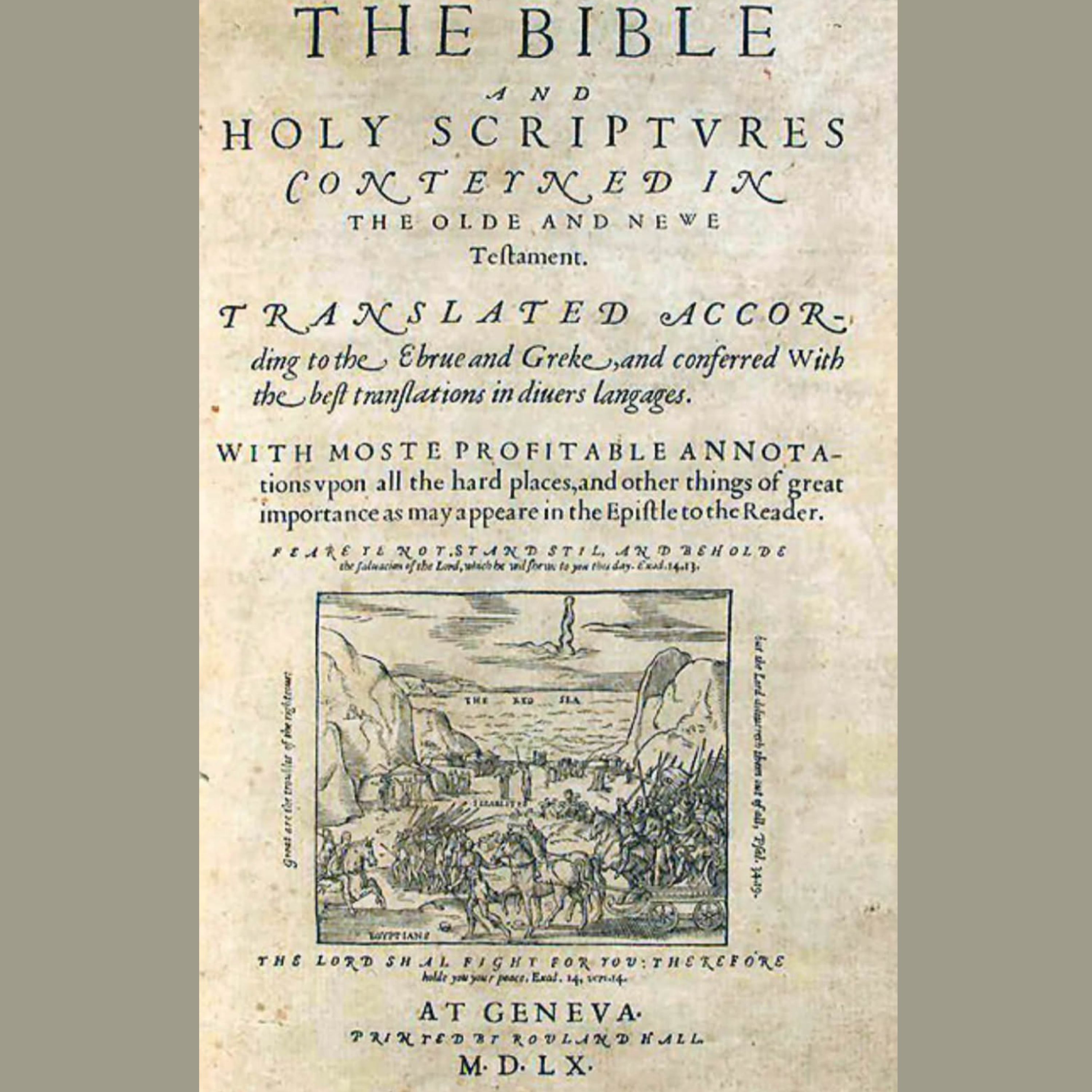 The Rise of the Protestants      Series 1 - 3