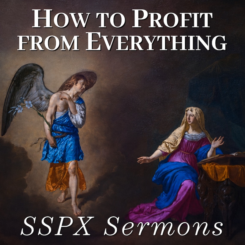 Artwork for podcast SSPX Sermons