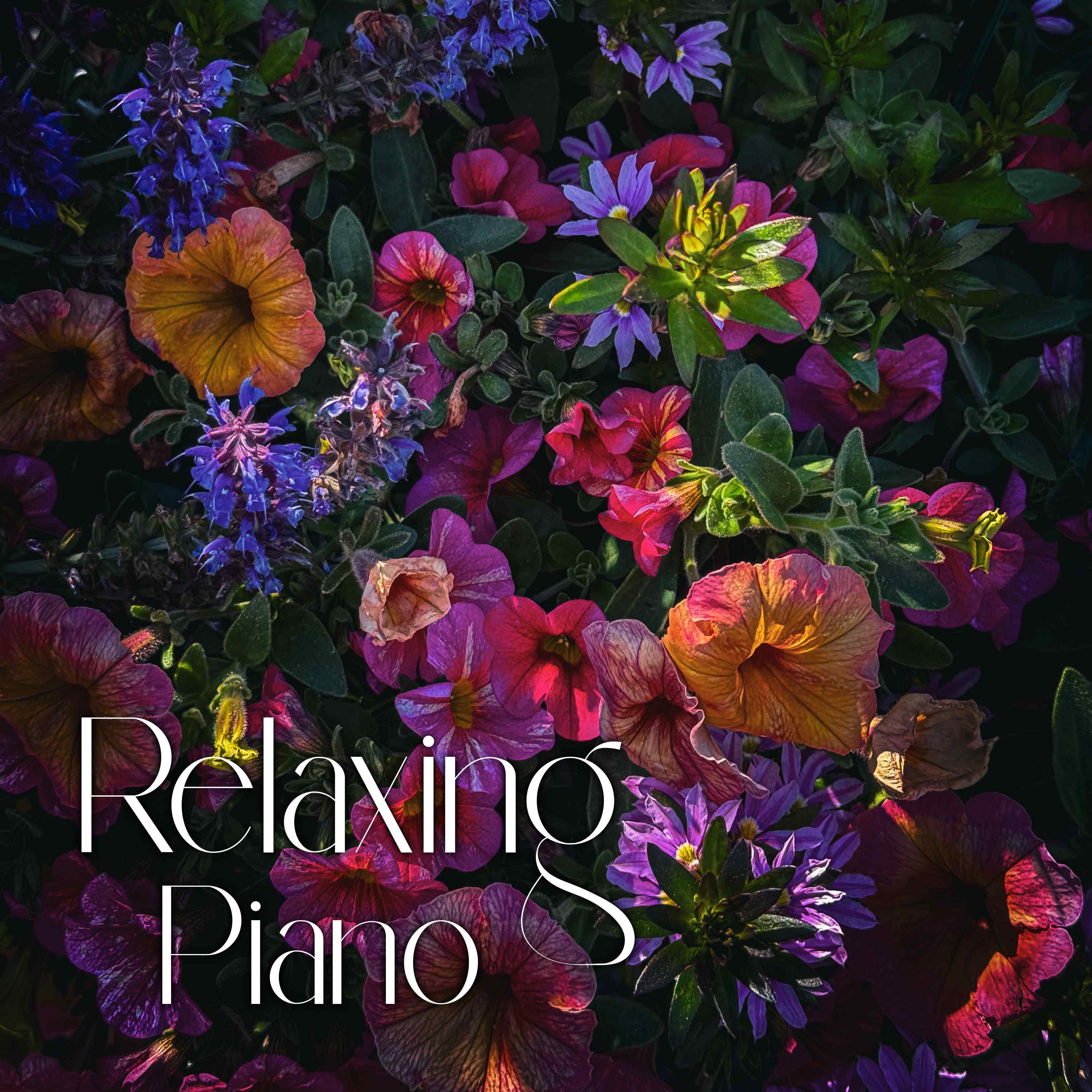 4 Hours of Peaceful Piano for Relaxing with Morning Birds - "For Nights on End" episode artwork