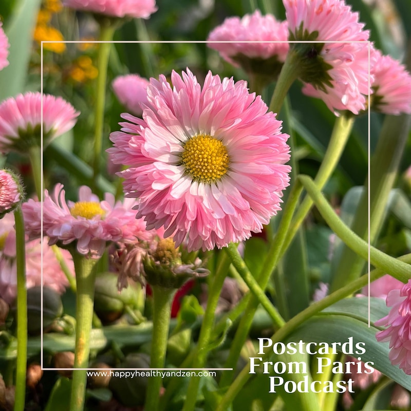 Artwork for podcast Postcards From Paris