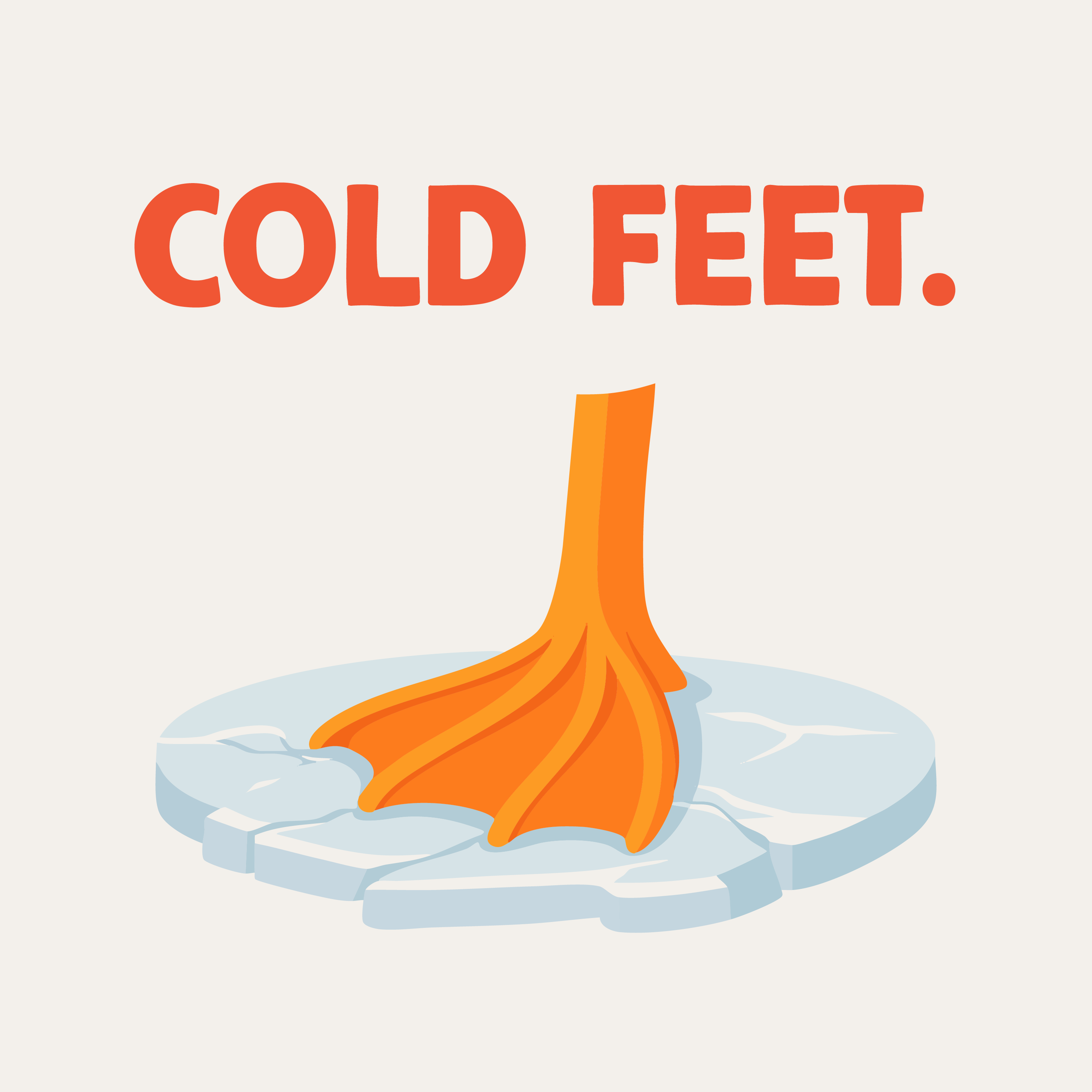 Okay, but how do birds stay warm?