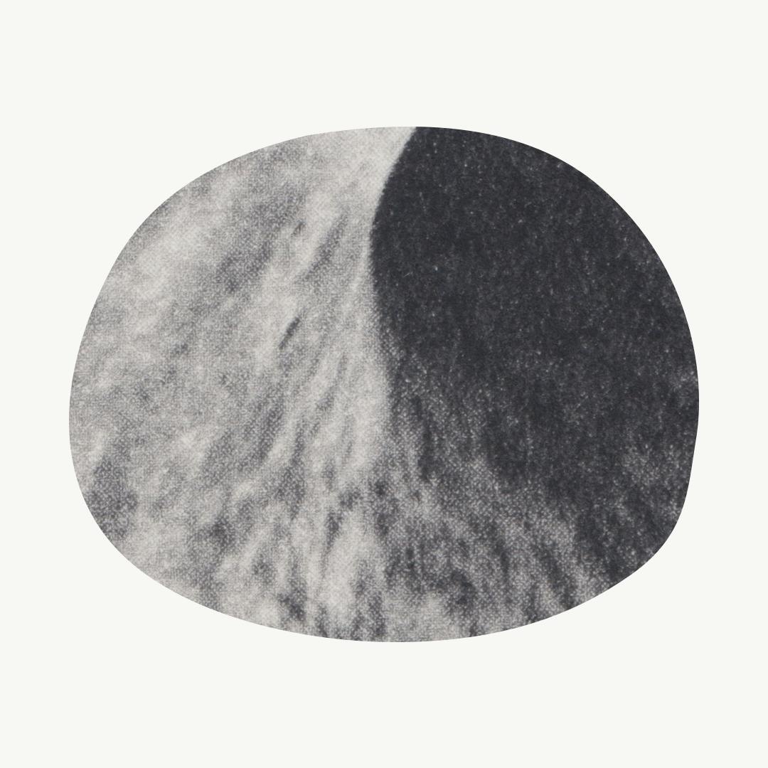 Sanctuary – Camille T. Dungy