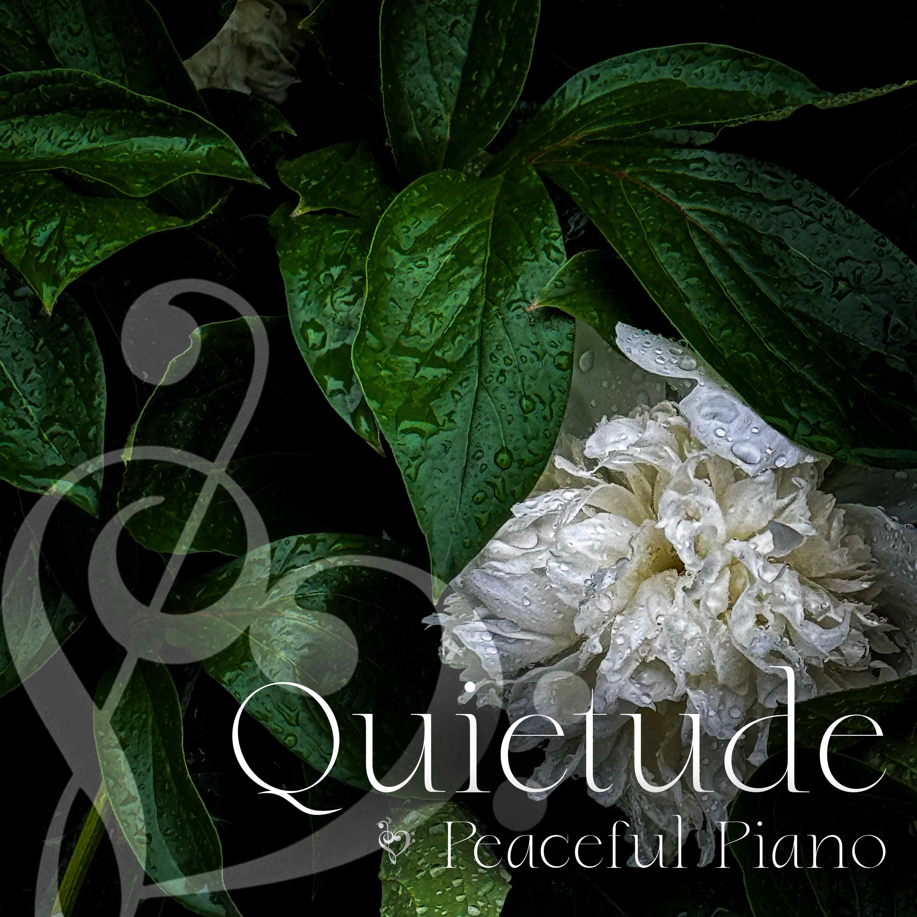 4 Hours of Peaceful Piano Music with Gentle Rain - "California Queen" episode artwork