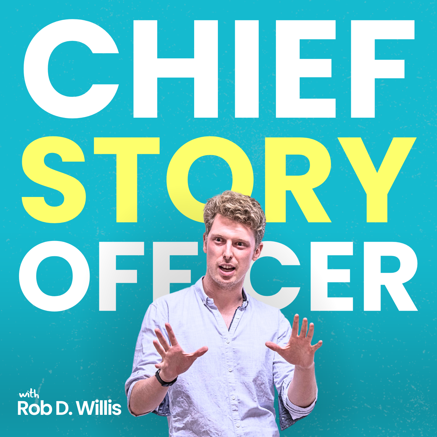 Artwork for Chief Story Officer