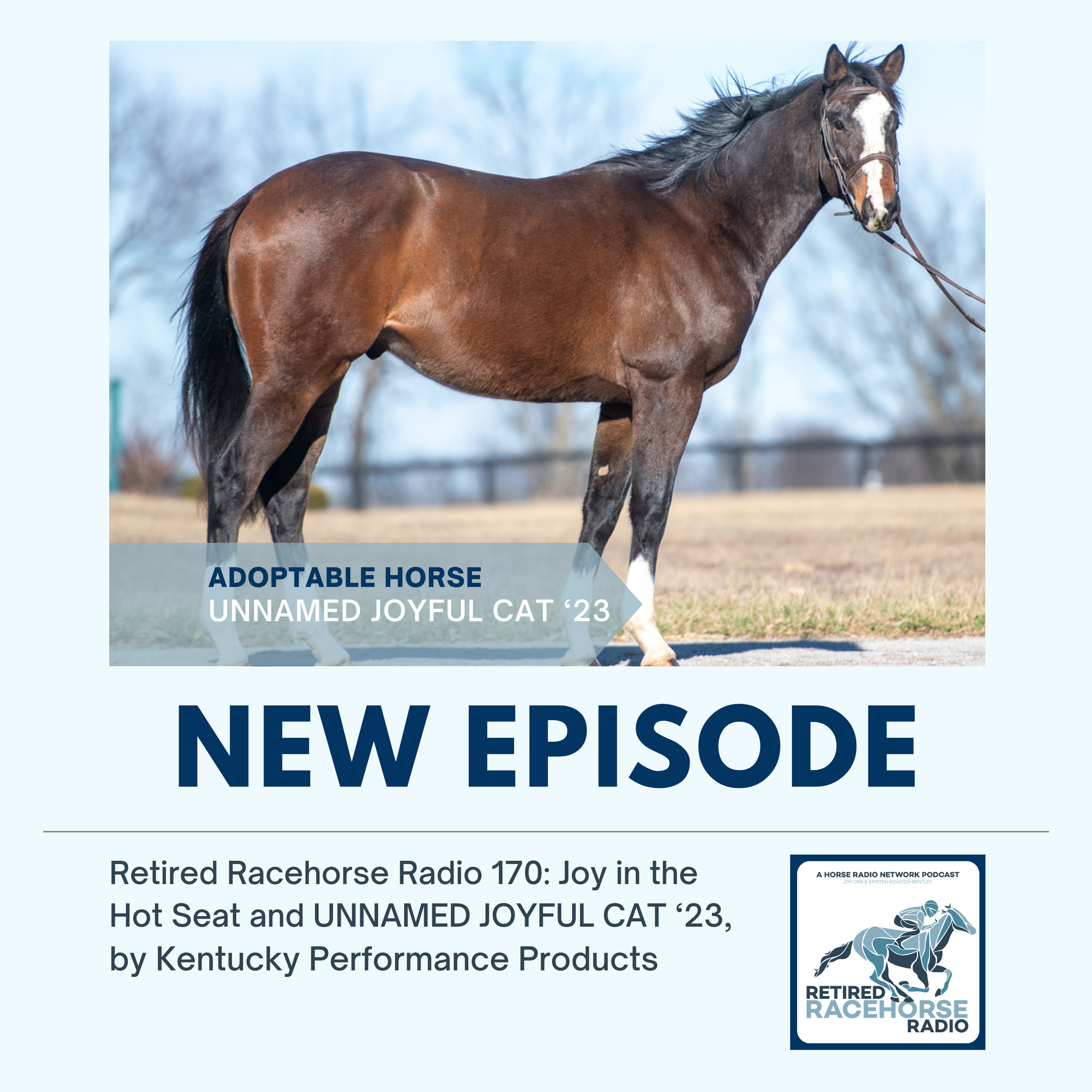 Get to Know Joy and UNNAMED JOYFUL CAT '23 by Kentucky Performance Products - Retired Racehorse Radio