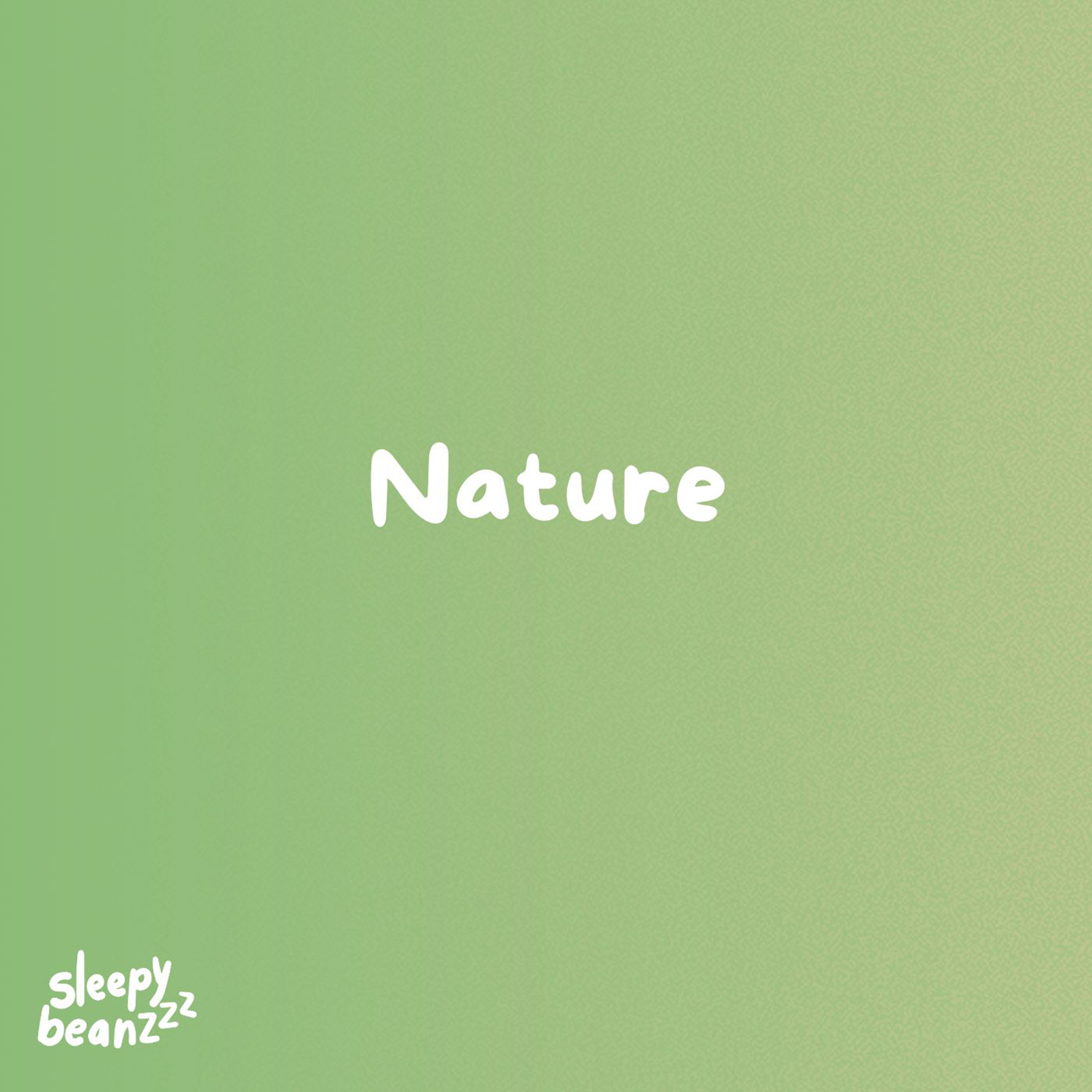 Snowy Mountains (Focus Meditation)