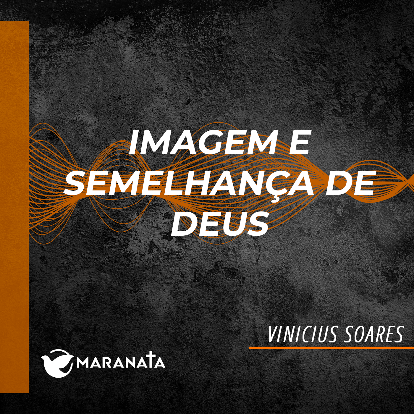 Imagem e semelhança de Deus - Vinicius Soares