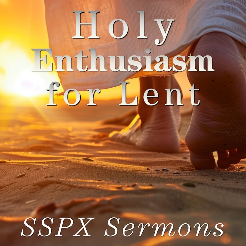 Artwork for podcast SSPX Sermons