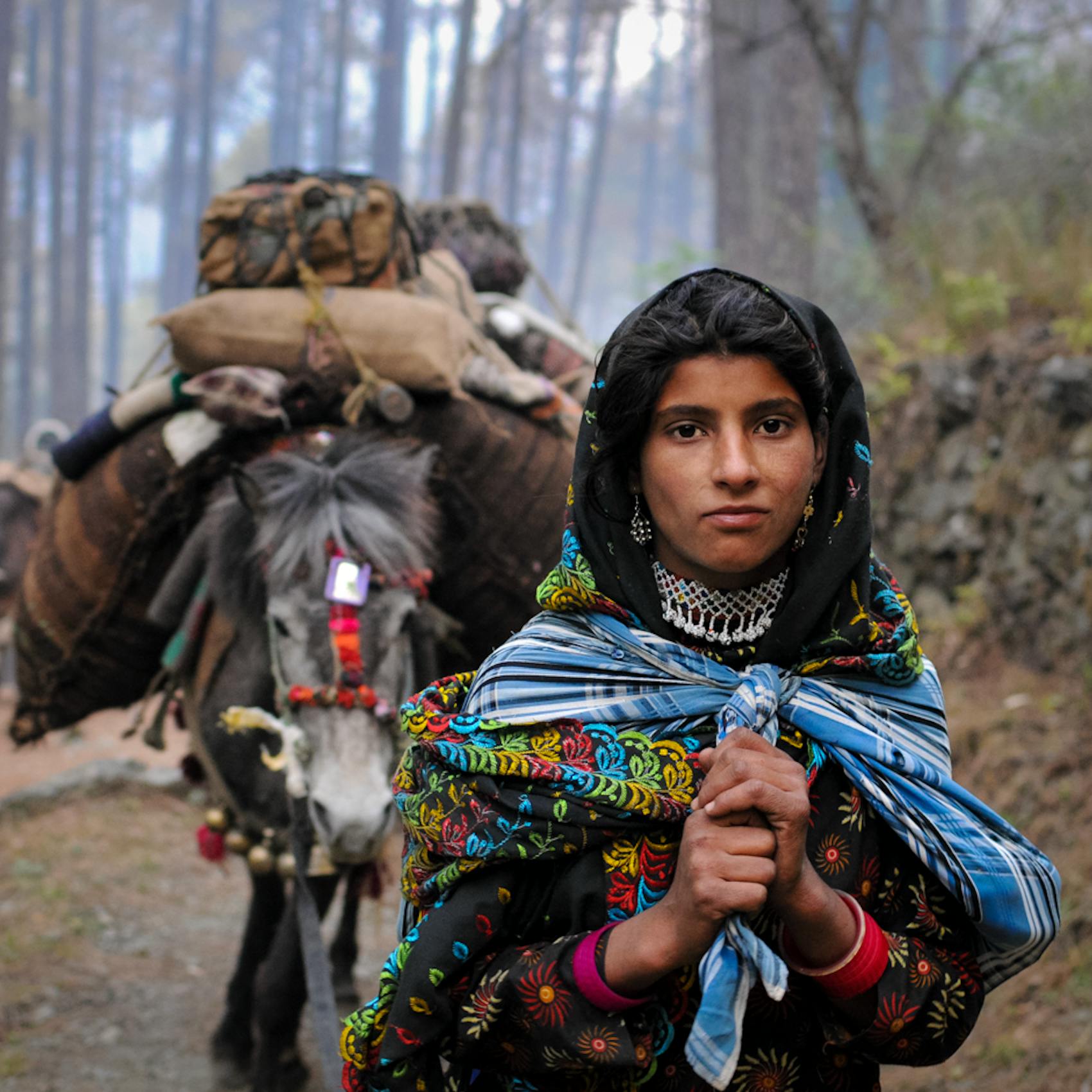 Himalaya Bound: Migrating with India's Nomadic Van Gujjars with Michael Benanav