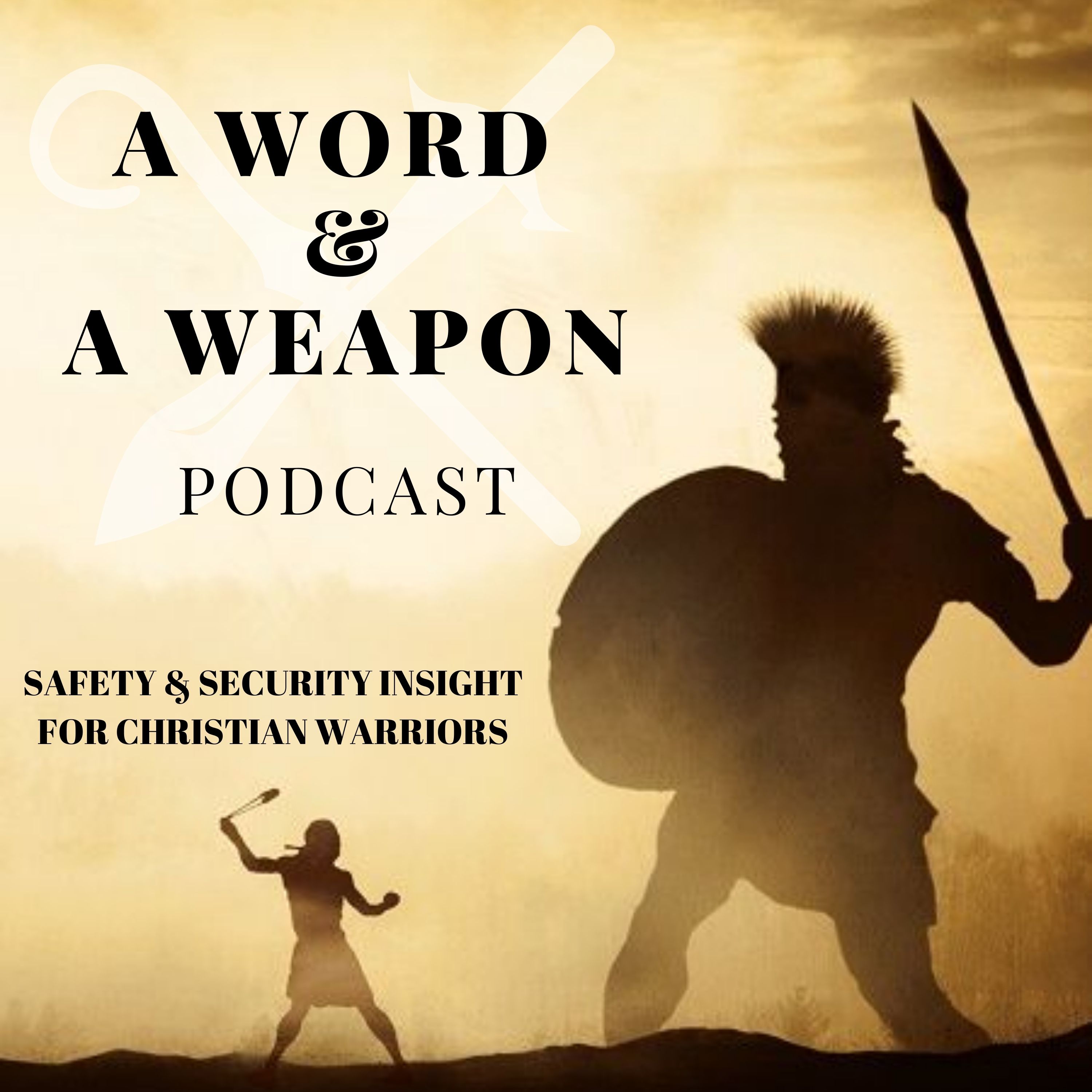 Artwork for podcast A Word & A Weapon Podcast