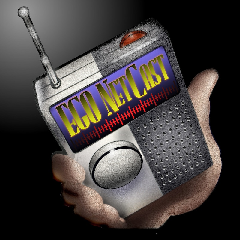 Artwork for podcast EGO NetCast