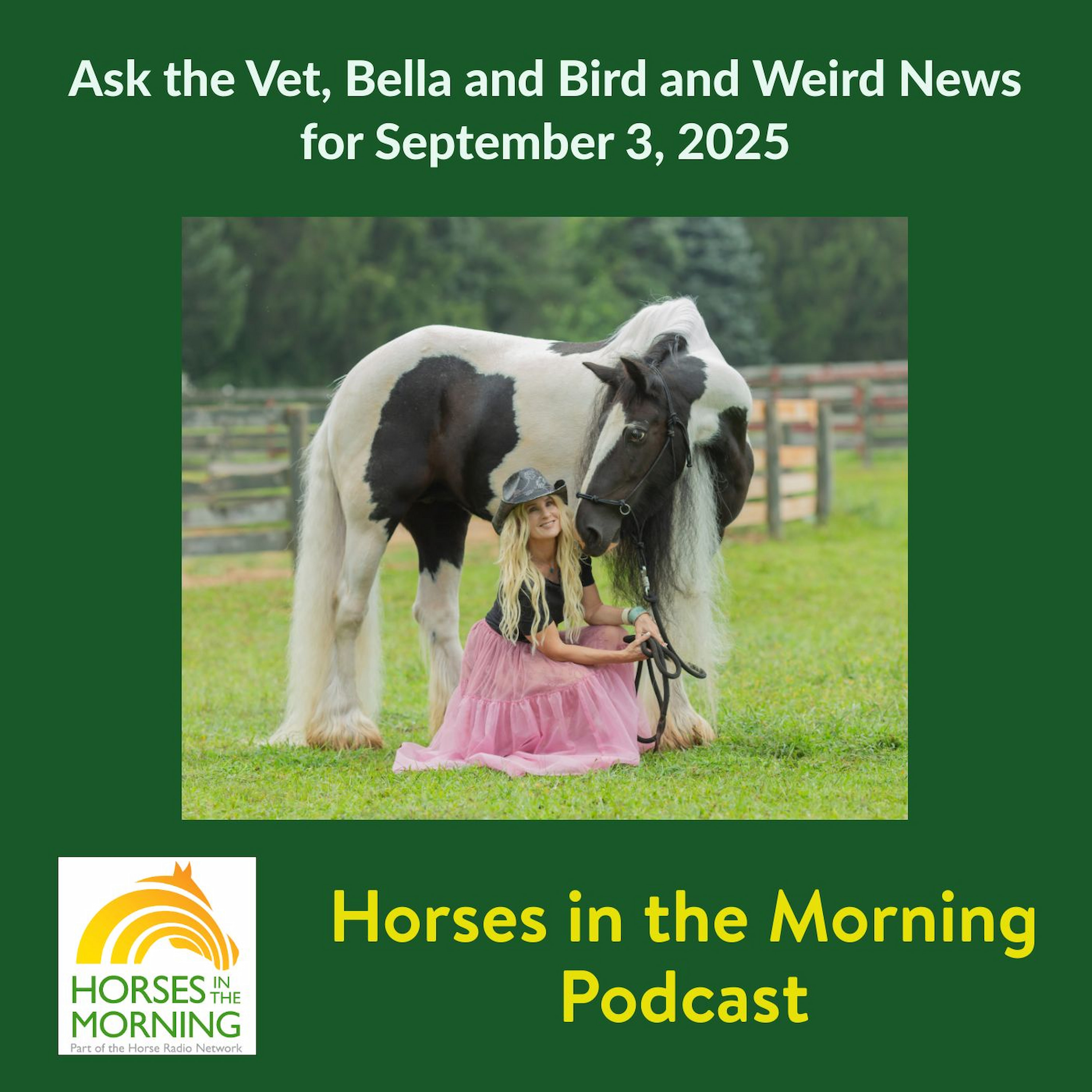 Ask the Vet, Bella and Bird and Weird News for September 3, 2025 - HORSES IN THE MORNING