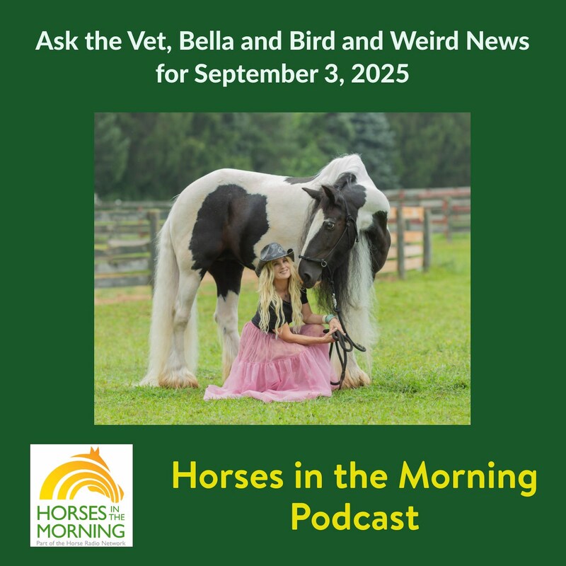 Artwork for podcast Horses in the Morning