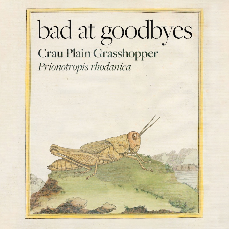 Artwork for podcast Bad at Goodbyes