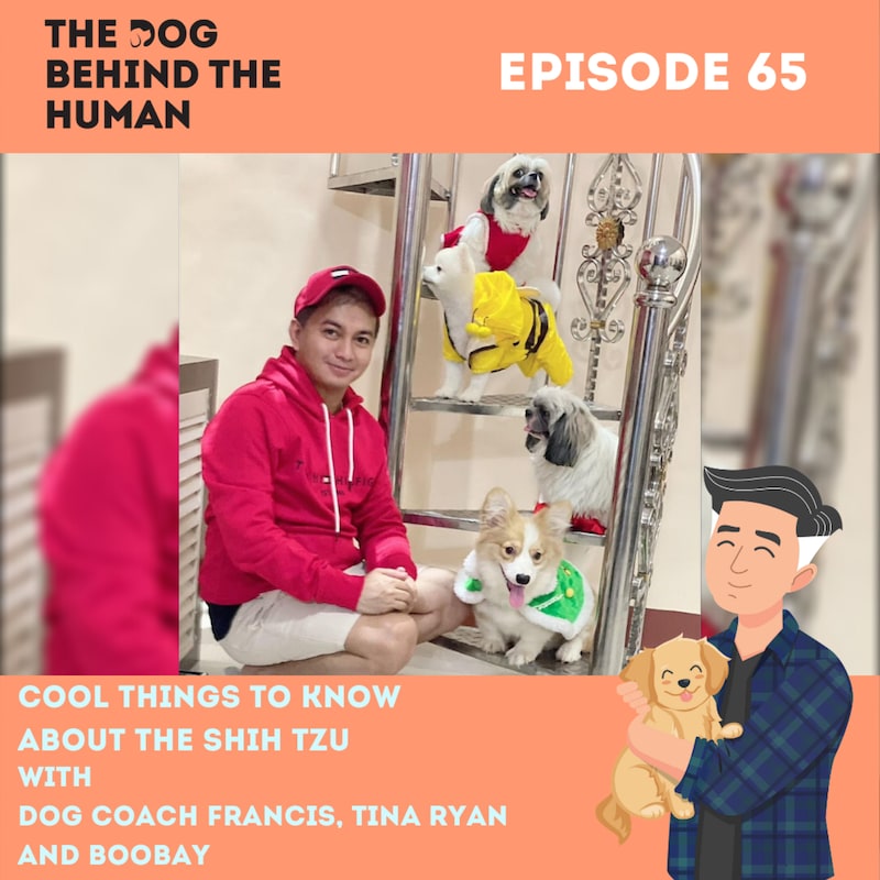 Artwork for podcast The Dog Behind The Human