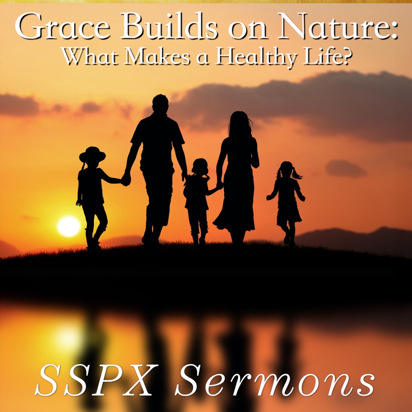 Grace Builds on Nature: What Makes a Healthy Life? - SSPX Sermons