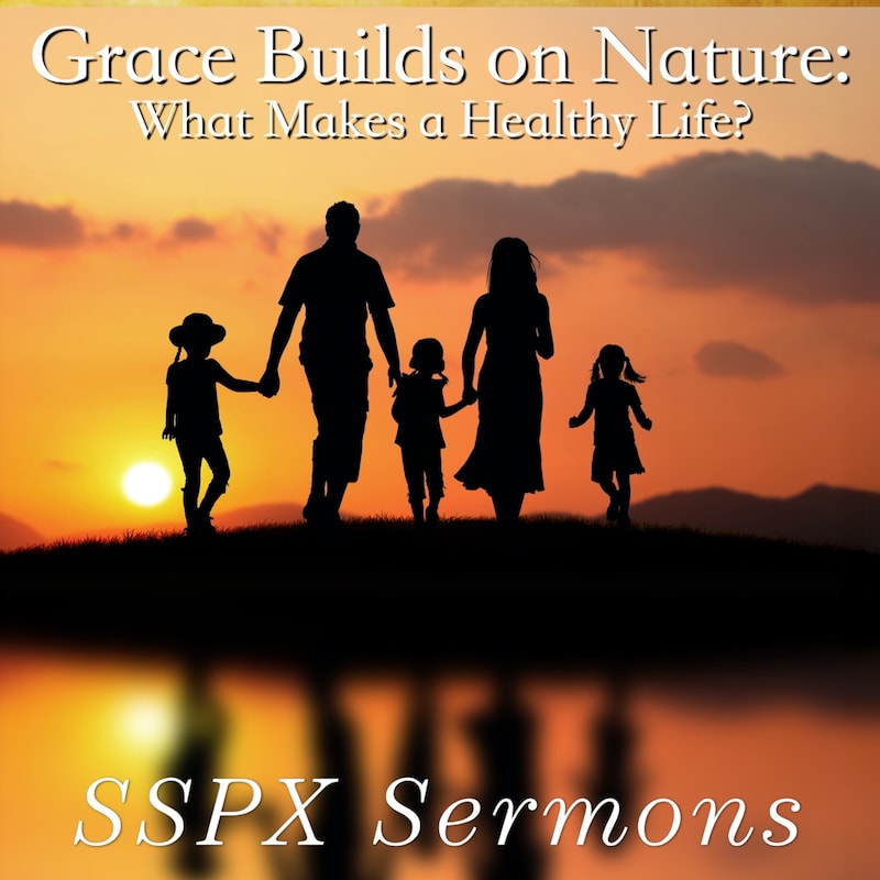 Artwork for podcast SSPX Sermons