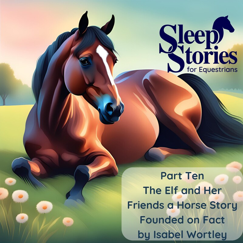 Artwork for podcast Sleep Stories for Equestrians