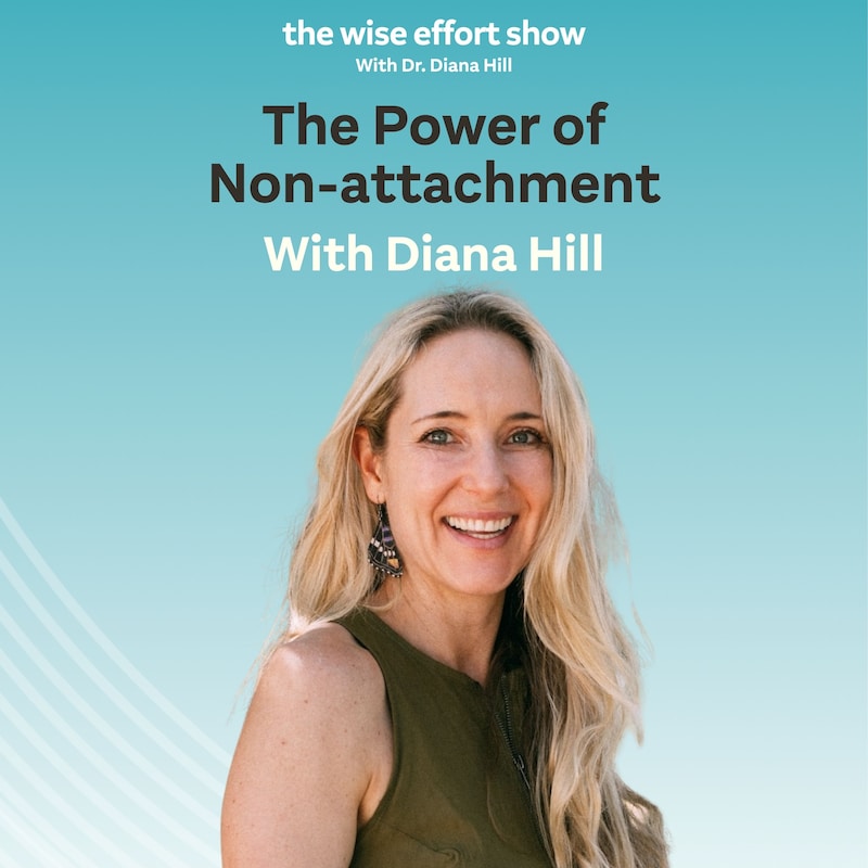 Artwork for podcast The Wise Effort Show