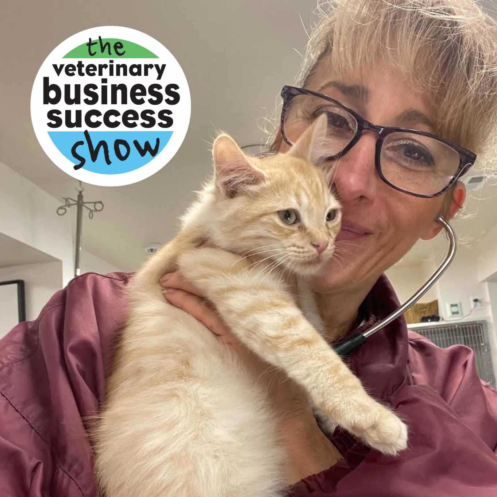 Artwork for podcast The Veterinary Business Success Show