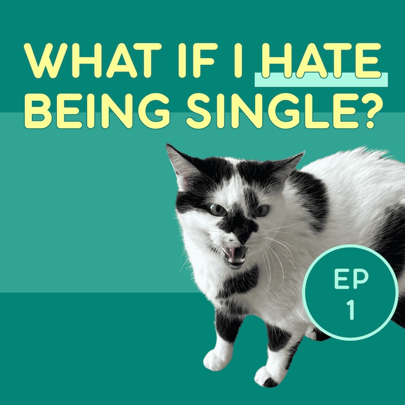 Artwork for podcast All About Being Single