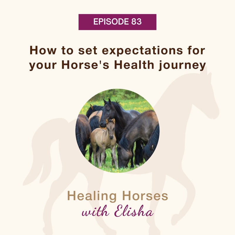 Artwork for podcast Healing Horses with Elisha