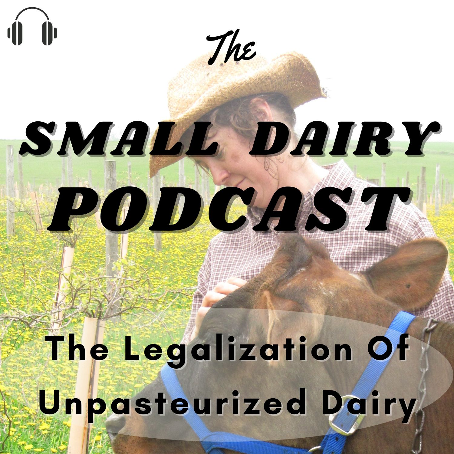 The Small Dairy Podcast