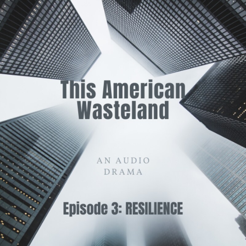 Artwork for podcast This American Wasteland