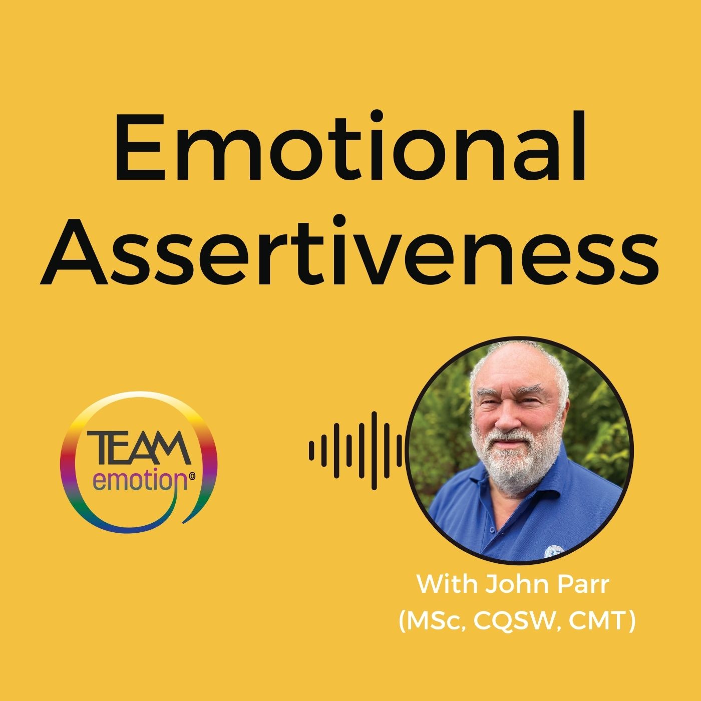 Artwork for Emotional Assertiveness: Applied Emotional Intelligence 