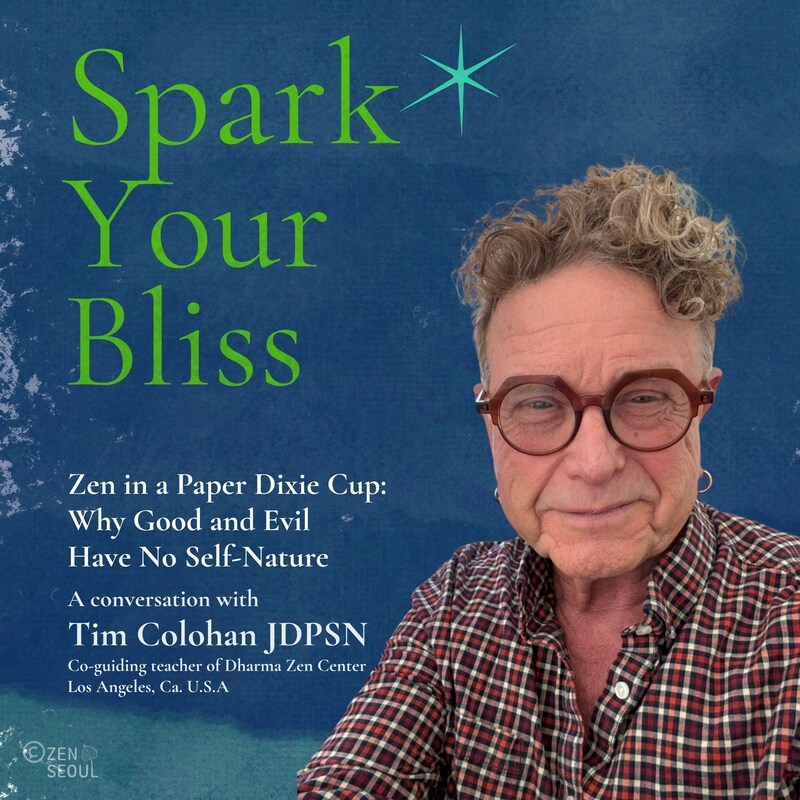 Artwork for podcast Spark Your Bliss
