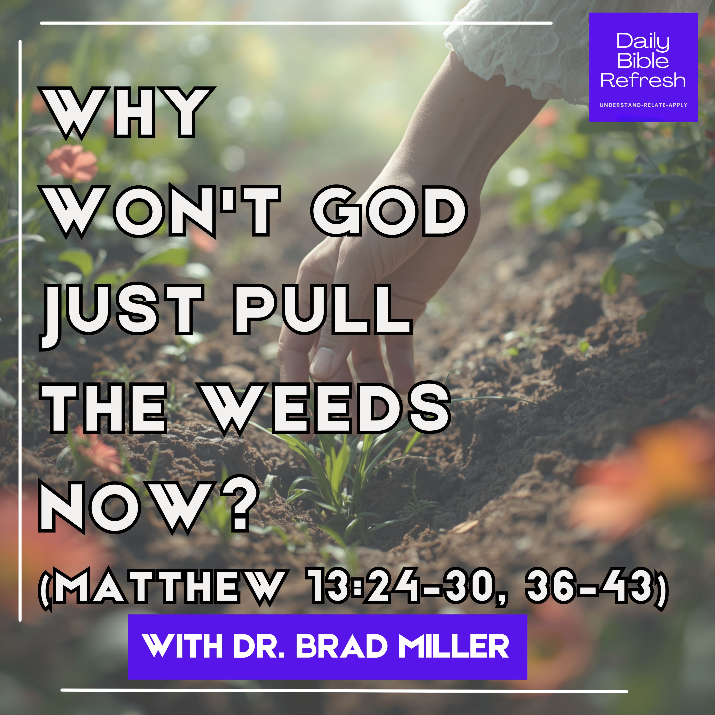 Why Won't God Just Pull the Weeds Now? (Matthew 13:24–30, 36–43) episode artwork
