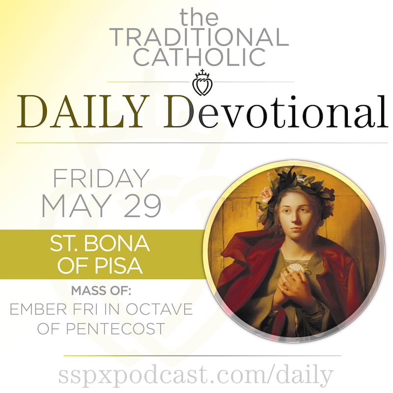 Artwork for podcast Traditional Catholic Daily Devotional