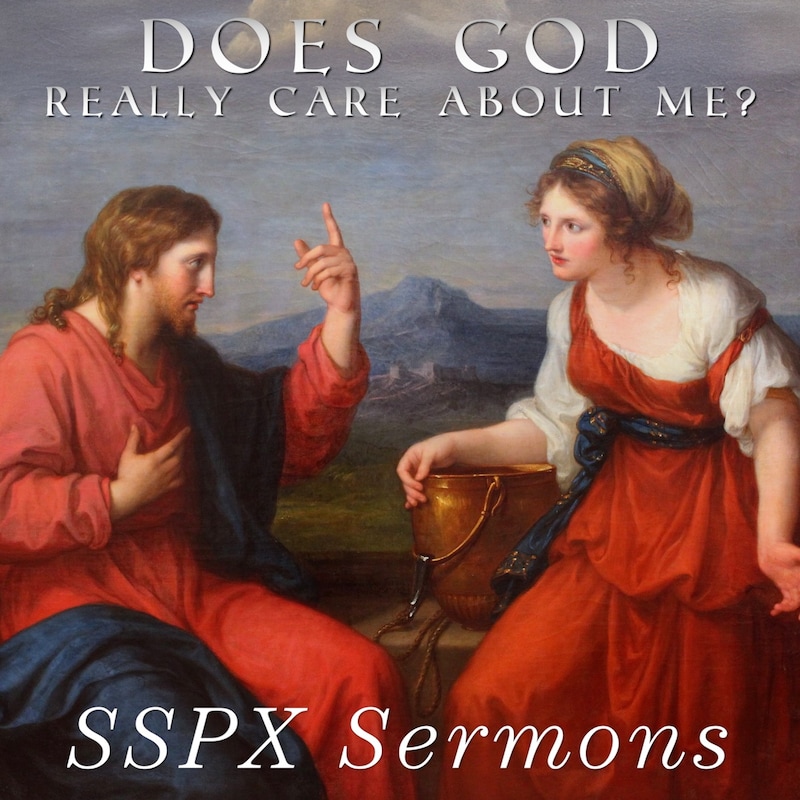 Artwork for podcast SSPX Sermons