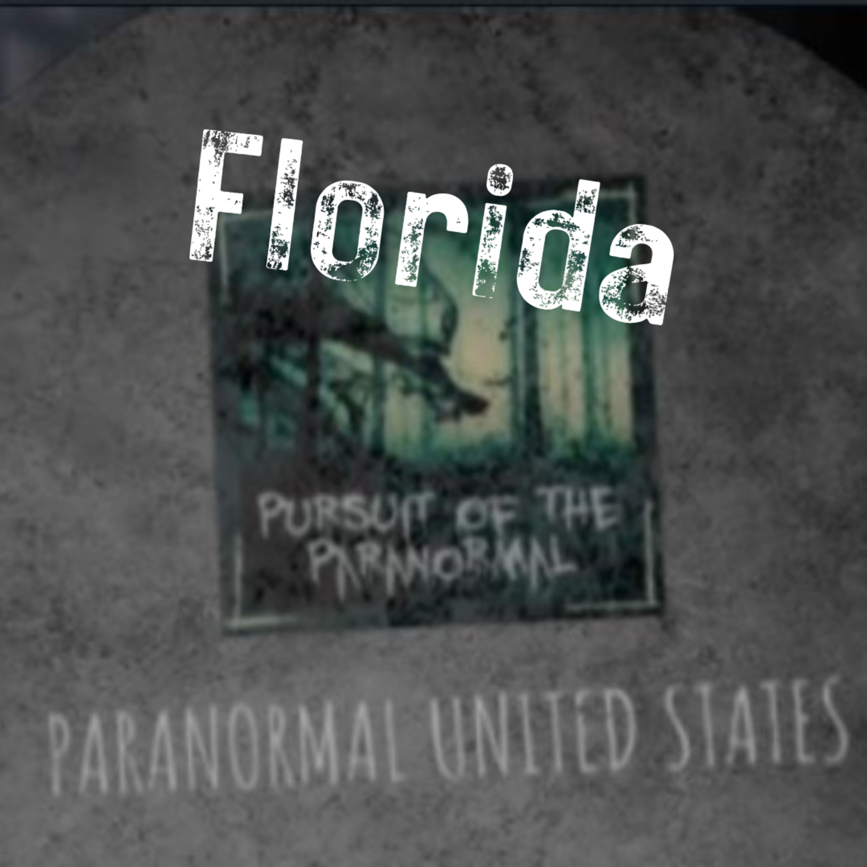 Paranormal United States Ep 9: Florida - Skunk Ape / Skunkape bigfoot episode artwork