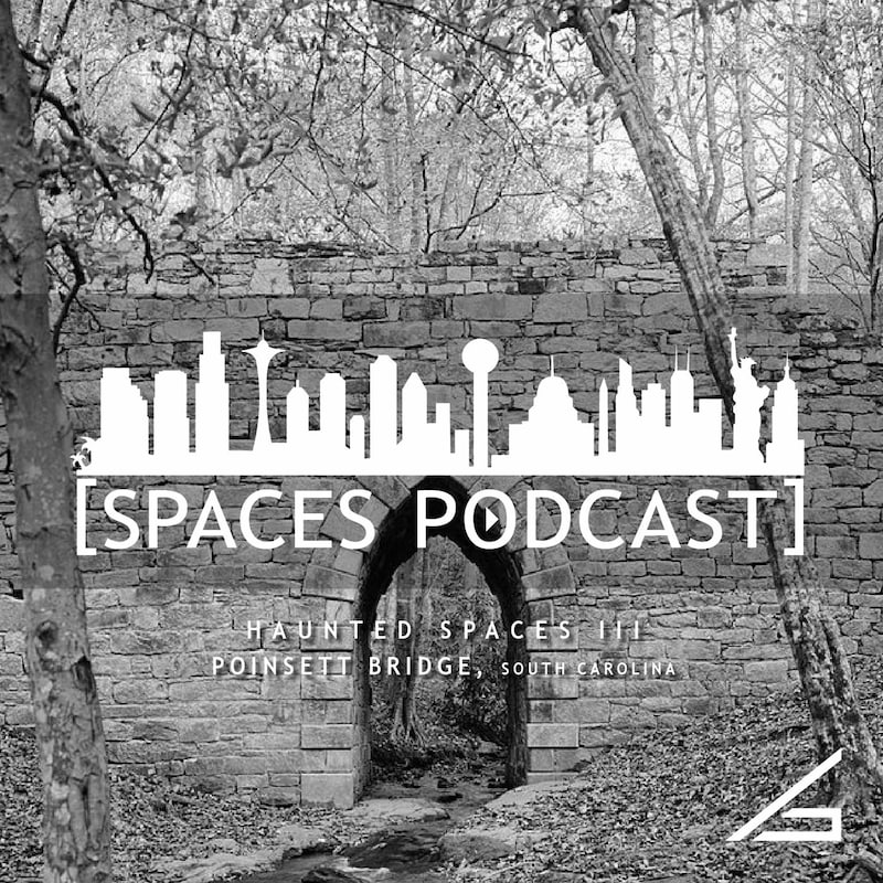Artwork for podcast Spaces Podcast