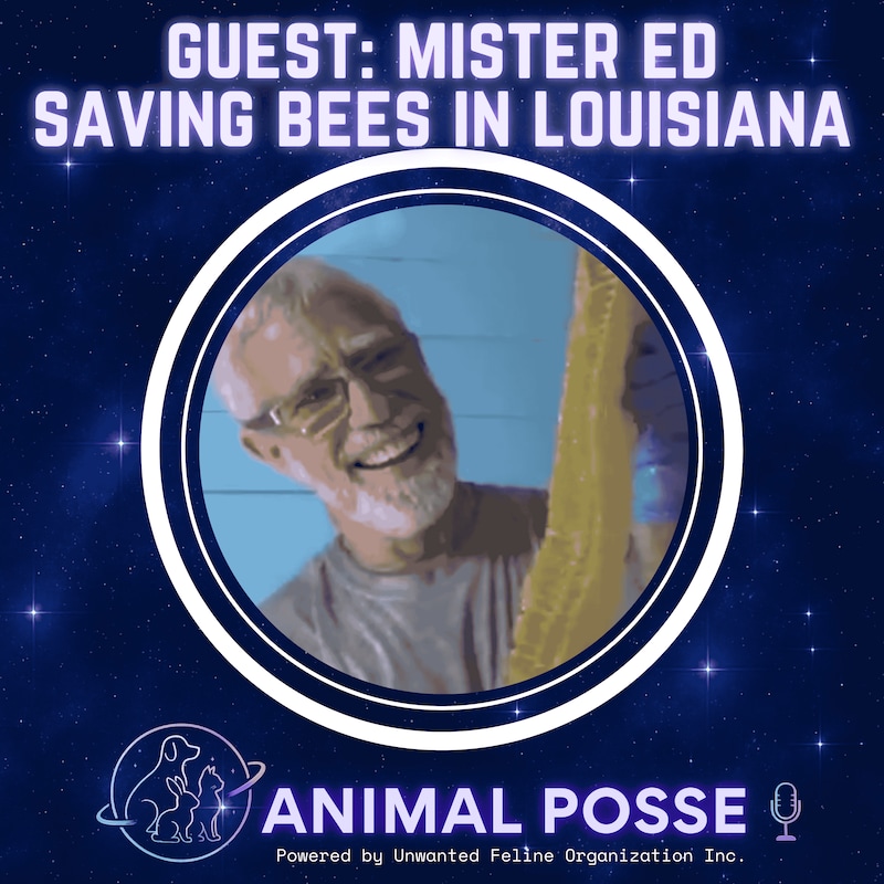 Artwork for podcast Animal Posse