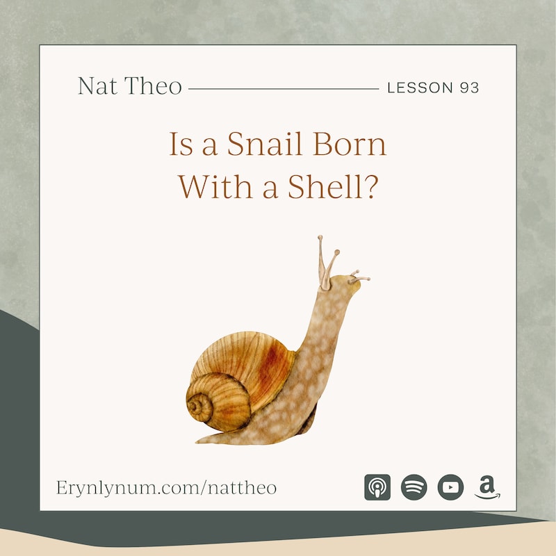 Artwork for podcast Nat Theo Nature Lessons Rooted in the Bible