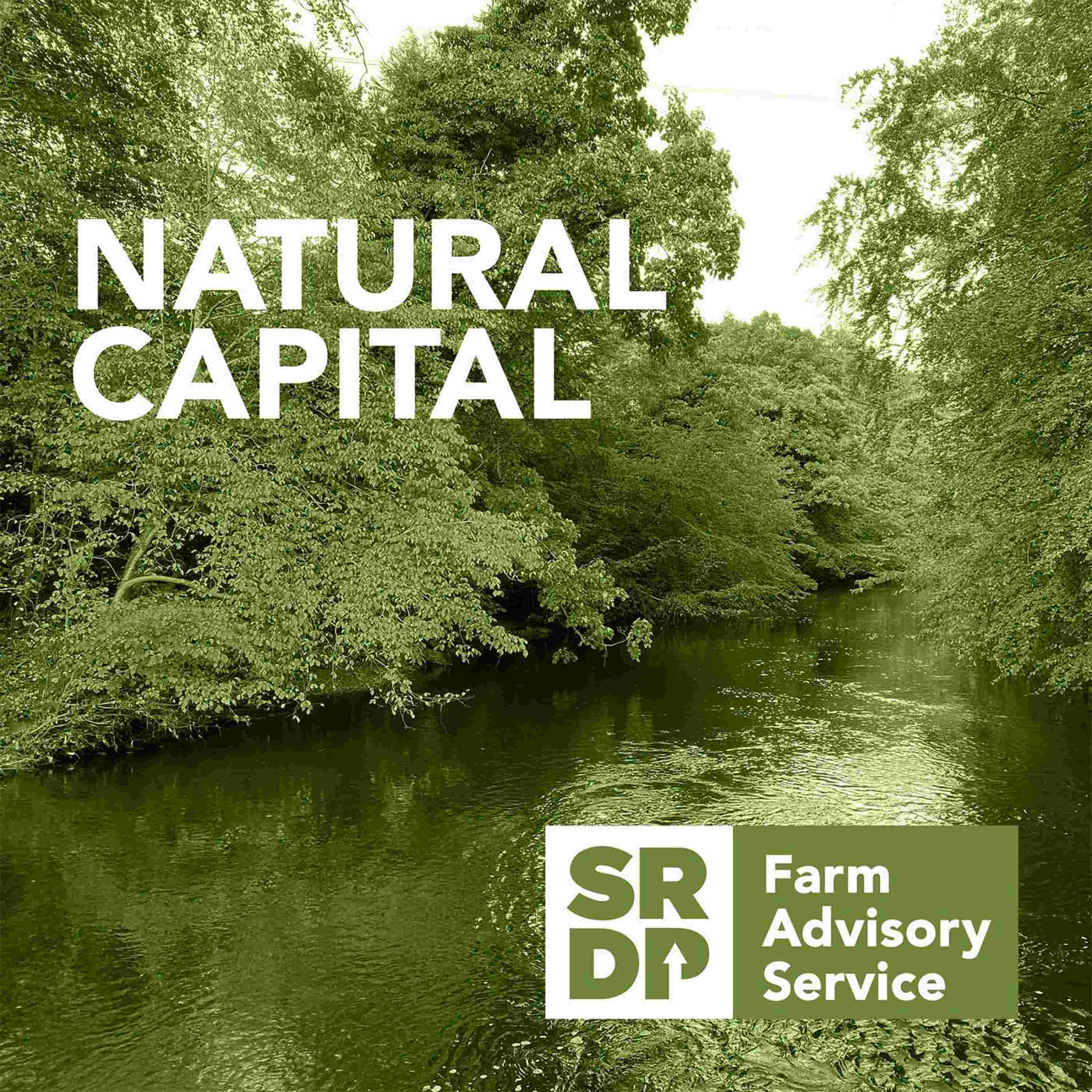 Natural Capital - South of Scotland Natural Capital Innovation Zone Natural Capital - South of Scotland Natural Capital Innovation Zone