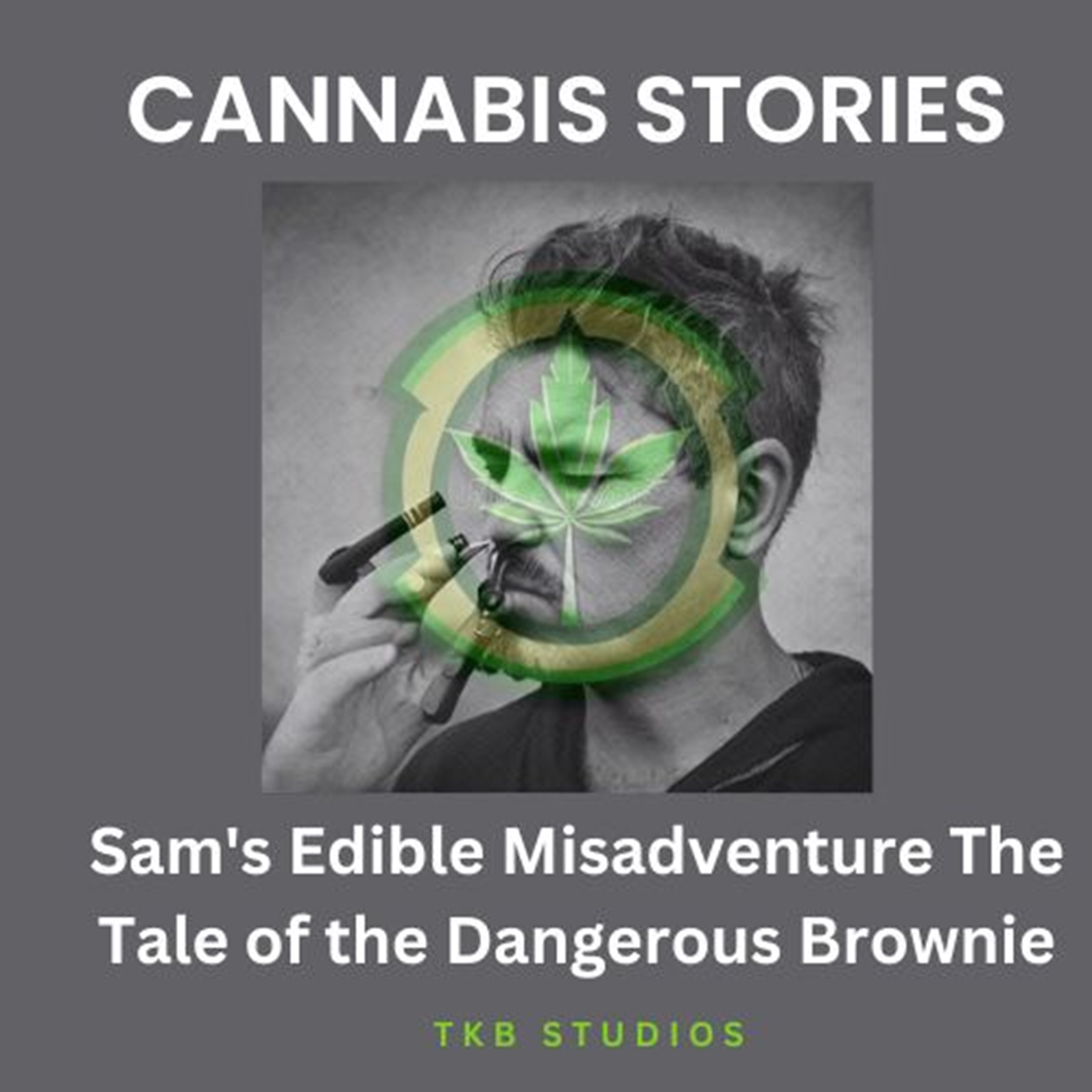 Sam's Edible Misadventure: The Tale of the Dangerous Brownie