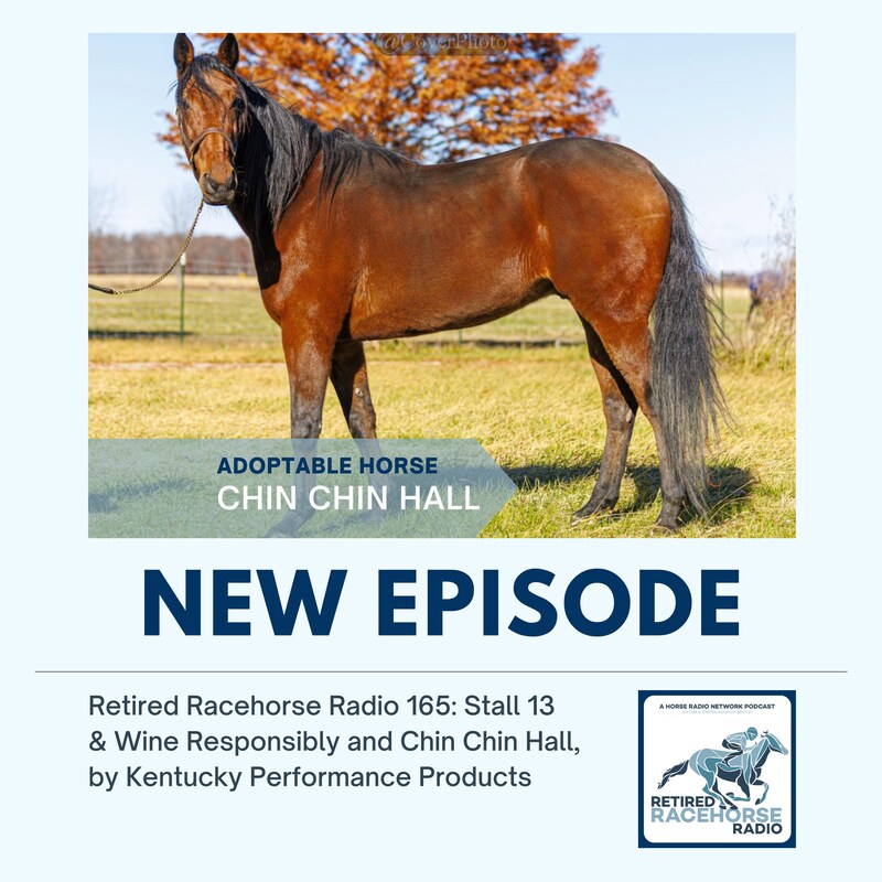 Artwork for podcast Retired Racehorse Radio