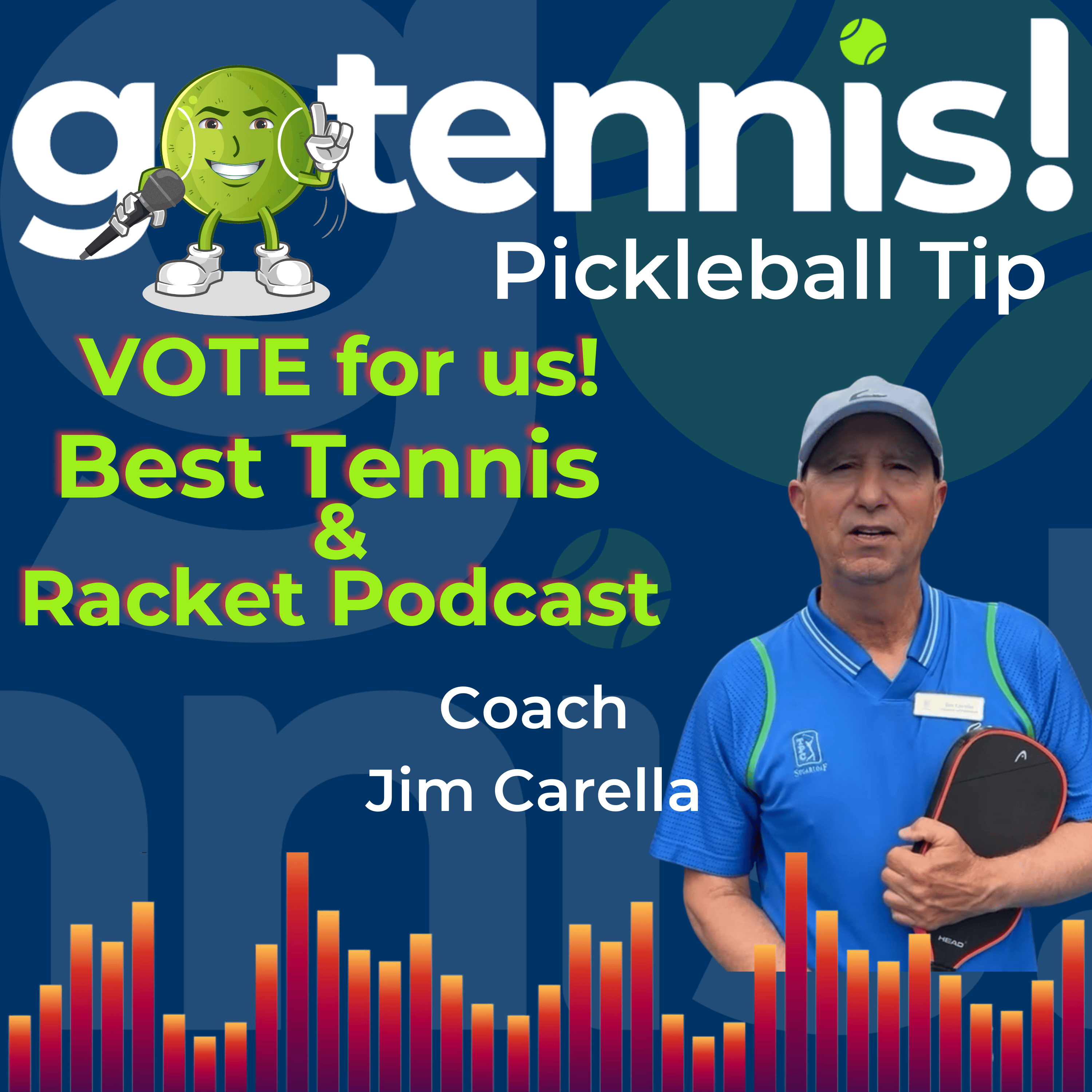 Pickleball Tip: 3 Compelling Reason to DINK!