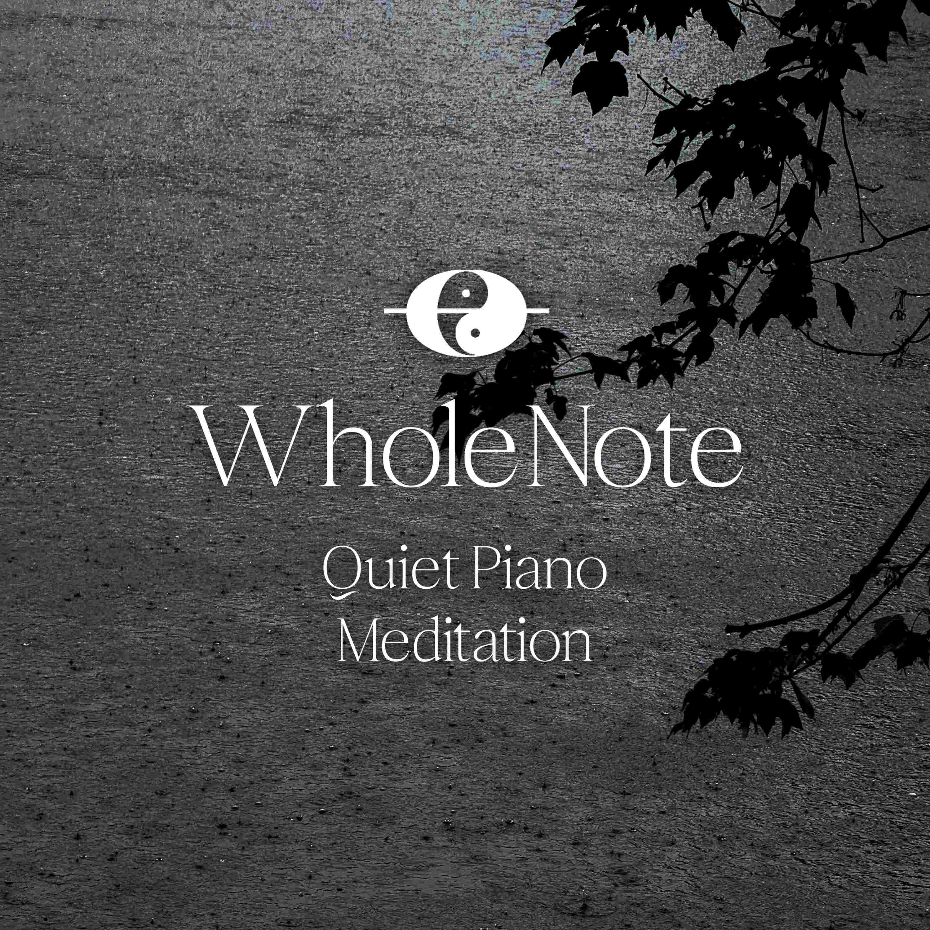 Meditate with Quiet Piano with Distant Rain - 2 Hours - "For Nights on End" episode artwork