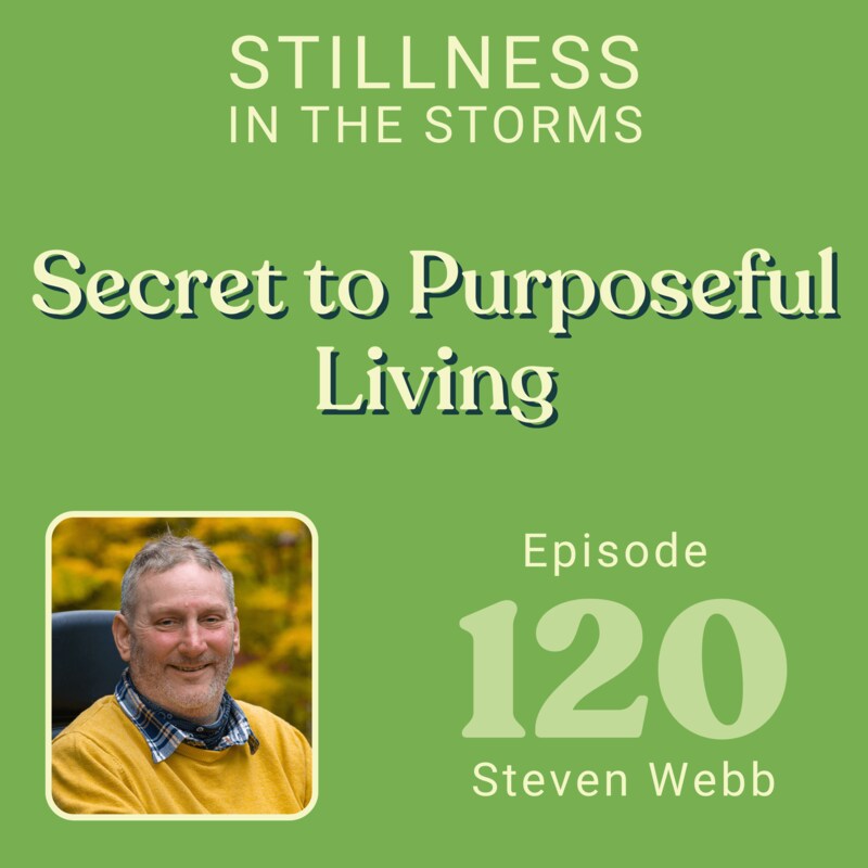 Artwork for podcast Stillness in the Storms