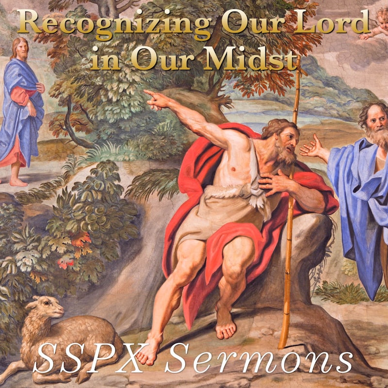 Artwork for podcast SSPX Sermons