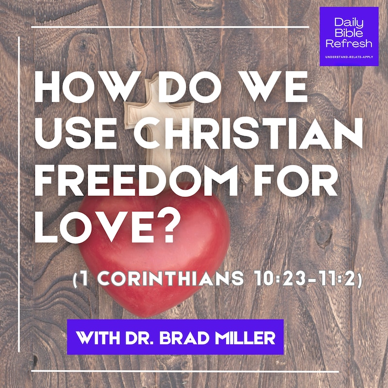 Artwork for podcast Daily Bible Refresh