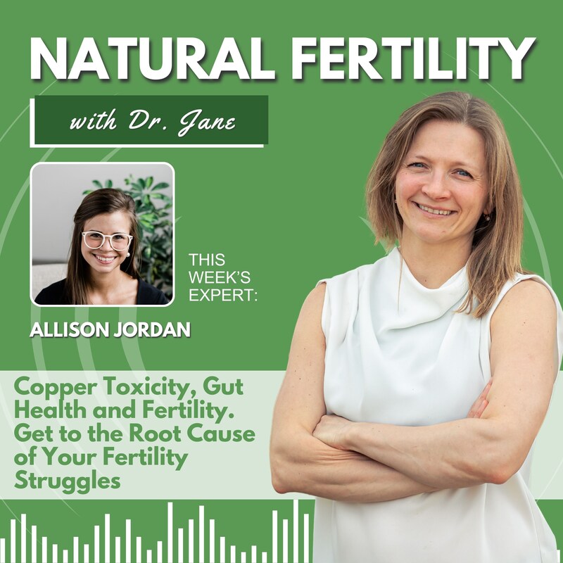 Artwork for podcast Natural Fertility with Dr. Jane