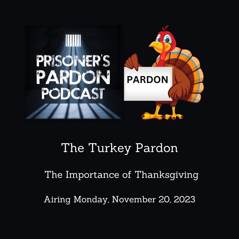 Artwork for podcast Prisoner's Pardon